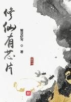 修仙芯片分析