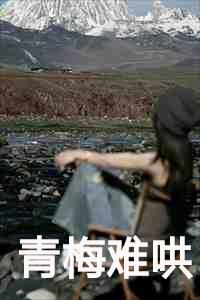 青梅难哄百度