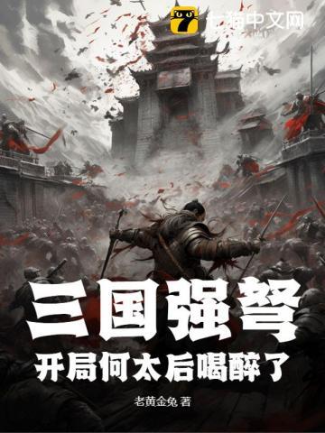 三国强推何皇后的