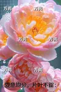 爱意均分,片叶不留:节选推荐
